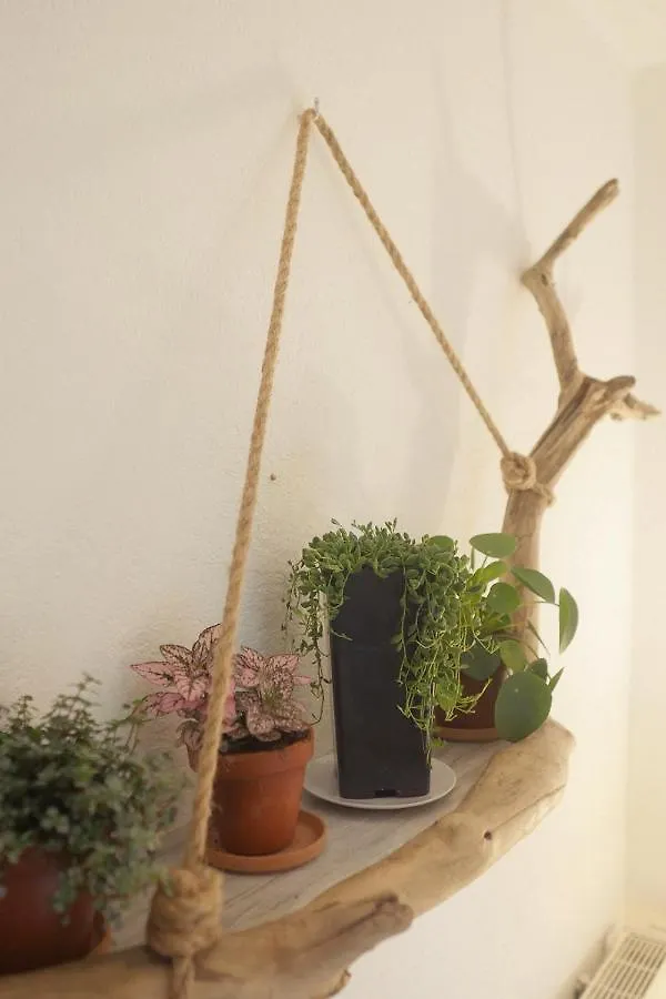 Lou Candelou Grasse Bed & Breakfast
