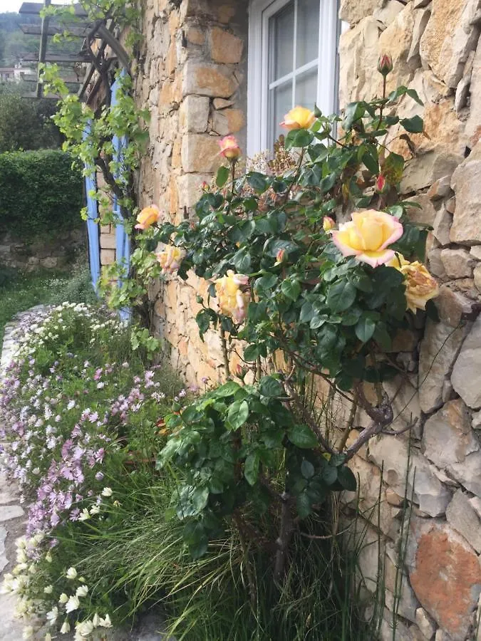 Couette-café Lou Candelou Grasse